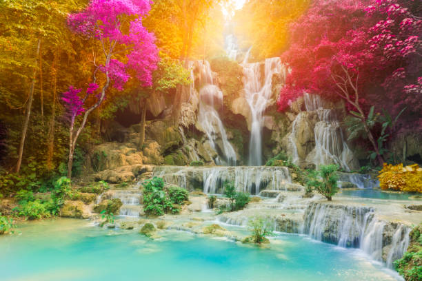 istock Tadkwangsi Waterfall, beautiful waterfall with sunlight rays in deep forest.laos 690057148