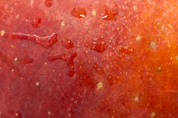 istock background of the apple. macro 690061290