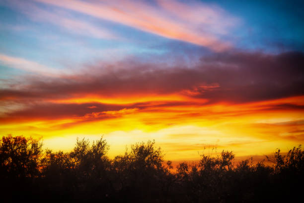 Characteristic and suggestive glimpse in the national park of the upper Murgia puglia