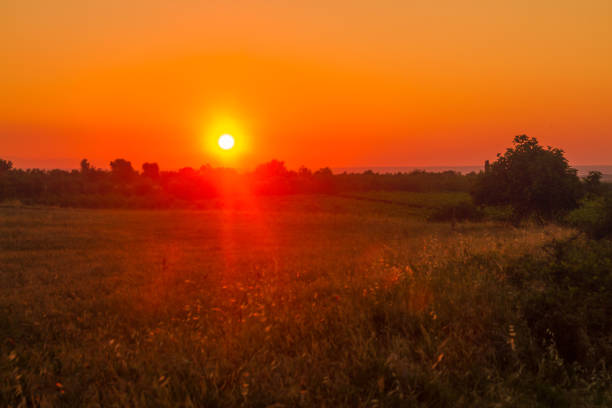 Characteristic and suggestive glimpse in the national park of the upper Murgia puglia