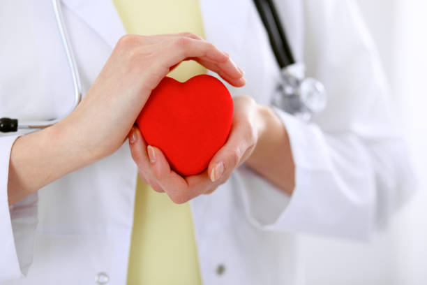 istock Female doctor with stethoscope holding heart. 690071812