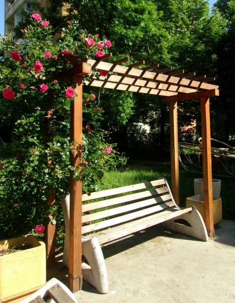 istock Gazebo in Public Park, forest and climbing roses 690072482