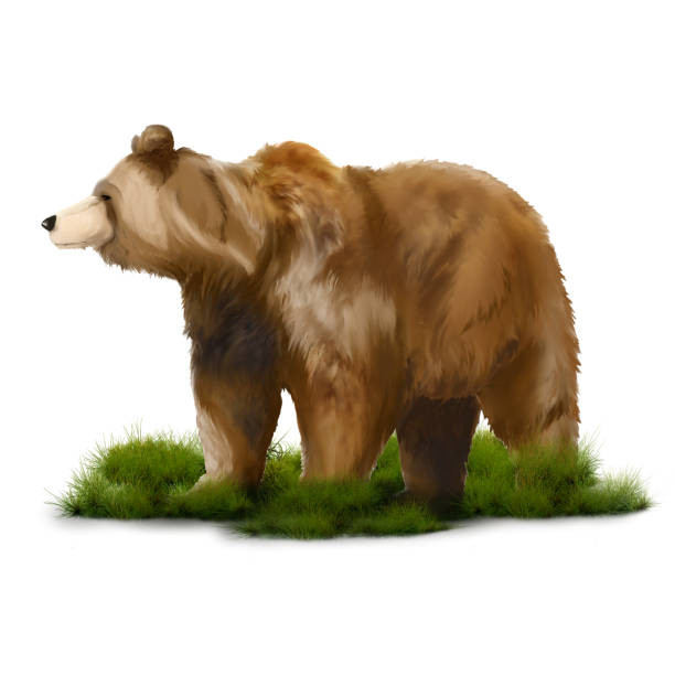 on the grass, realistic face