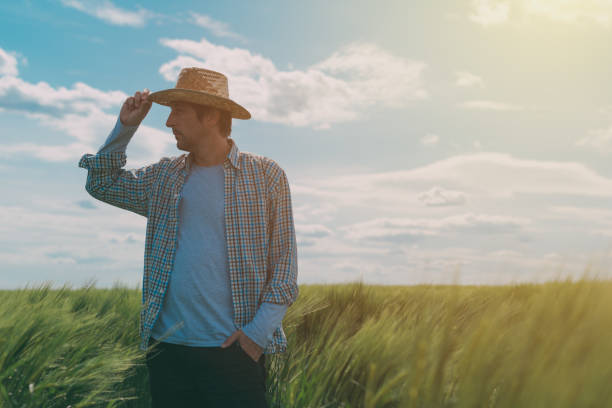 istock Male farmer walking through a green wheat field 690076700