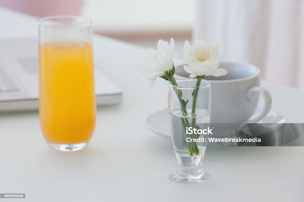 https://media.istockphoto.com/id/690083428/photo/white-flower-in-a-vase-with-coffee-and-orange-juice-on-table.jpg?s=1024x1024&w=is&k=20&c=XdwPUA5xwa8Y5paOz0mIK4MyLVCGSA7al-VfNa70md8=
