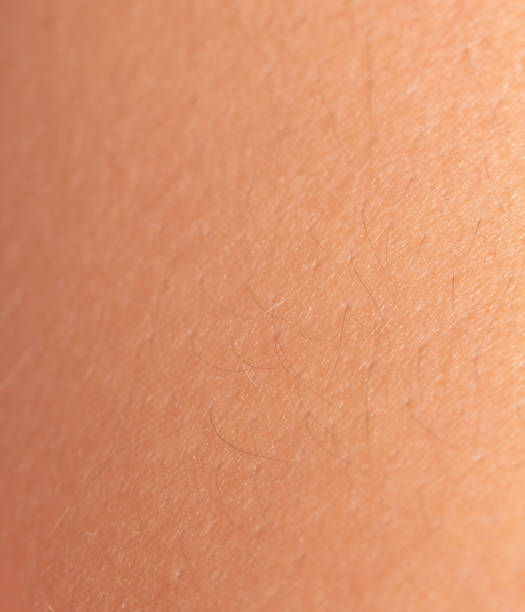 istock Background of the human skin. macro 690087436