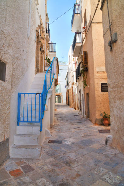 istock Alleyway. Polignano a mare. Puglia. Italy. 690107036