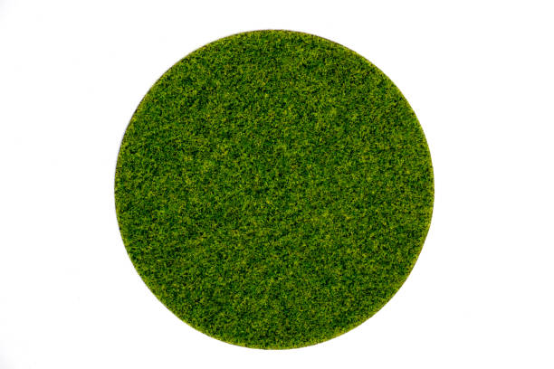 istock Artificial round green turf moss plate on white background 690110786