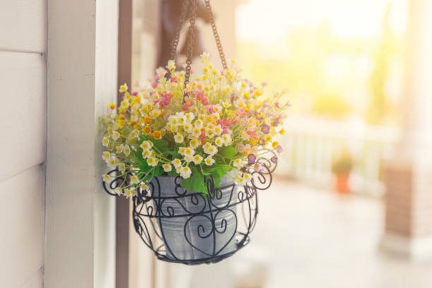 istock flower pot hanging building nature decoration in public space. 690115922