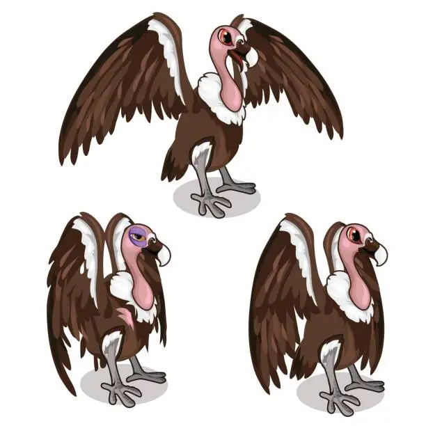 Vector illustration of Three vultures, with spread wings, common and sick
