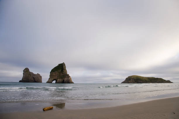 istock Farewell Spit New Zealand 690119220