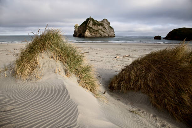 istock Farewell Spit New Zealand 690119224