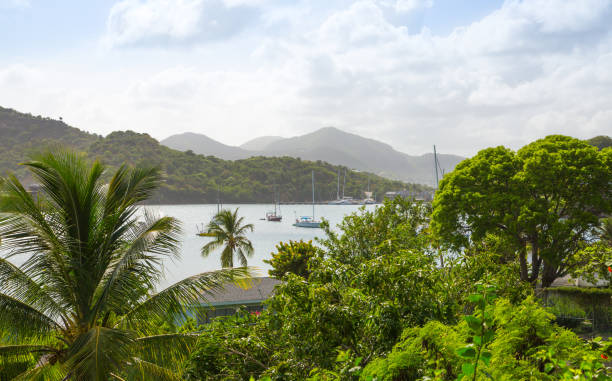 istock Antigua, English Harbour panoramic view with boats and yachts. View include Freeman bay and beach 690119950