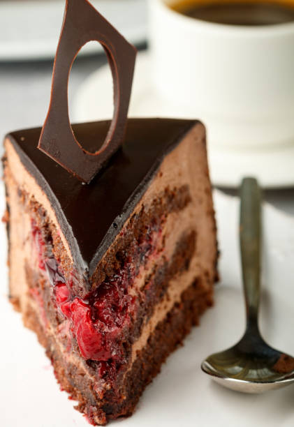 istock Homemade chocolate  Ice-cream cake  with berries cherries. Selective focus 690126430