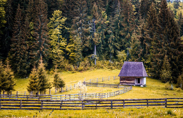 Horizontal colour image depicting a lonely wooden cabin/house surrounded by the wilderness of the Carpathian mountains in rural Romania. Lots of room for copy space.