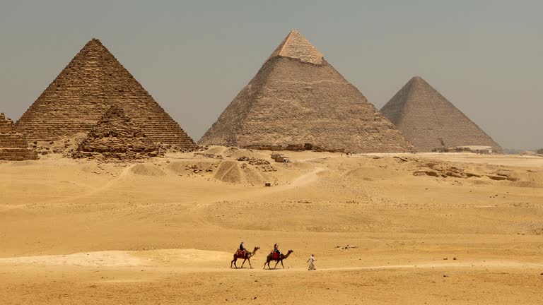 The Great pyramid with camel in Giza, Egypt