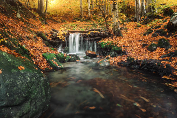 istock View at a waterfall in a mountain forest in autumn. Horizontal composition 690149906