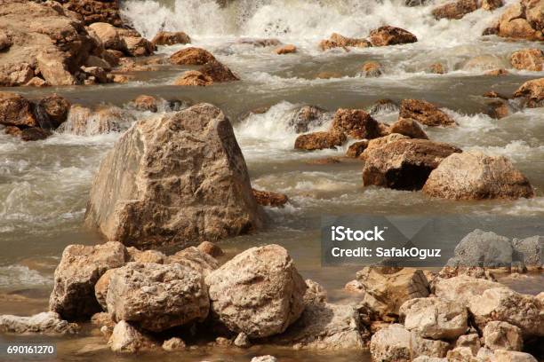 Water Stream Stock Photo - Download Image Now - Agricultural Field, Alternative Therapy, Animal Wildlife