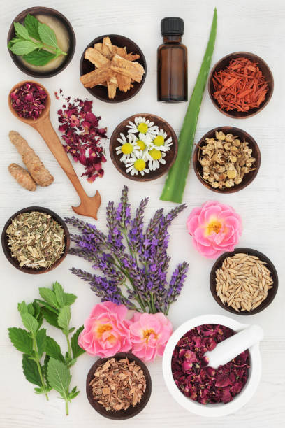istock Herbs for Skincare 690165454