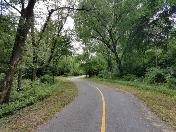 istock curvy bike trail in the woods 690169376