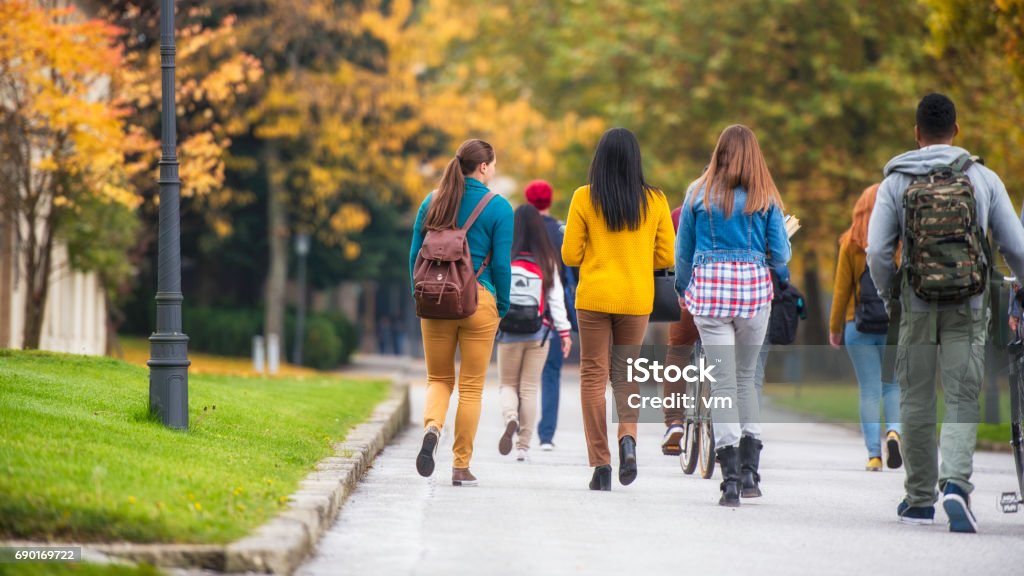 Rückansicht des leistenden zu Fuß durch den park - Lizenzfrei Campus Stock-Foto