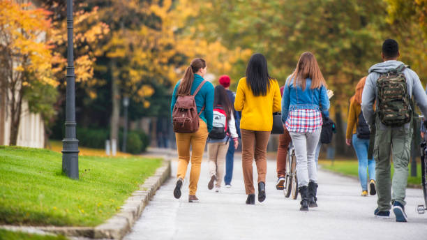 vista posteriore dei sudents che camminano attraverso il parco - campus autumn walking university foto e immagini stock