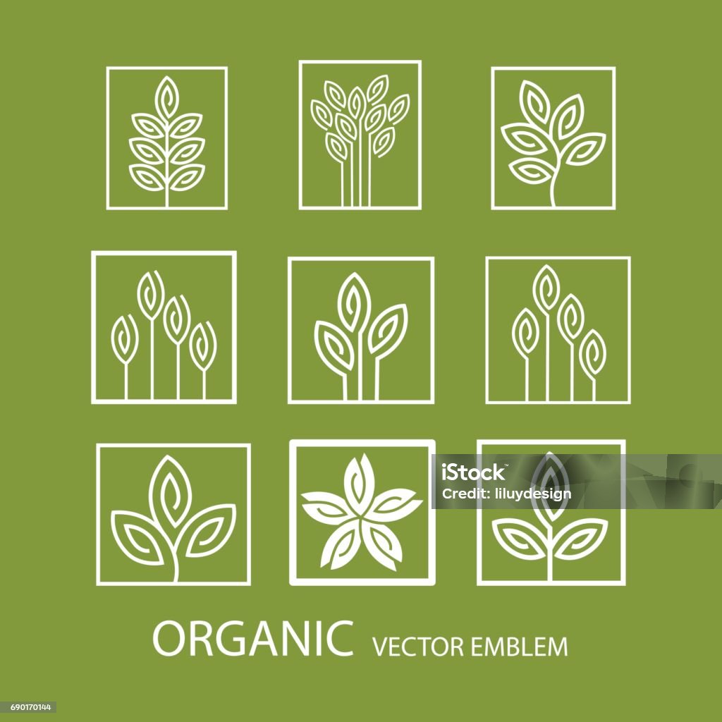 Vector set abstract organic emblem, outline monogram, flower symbol Vector set abstract emblem,outline monogram,flower symbol, concept for organic shop or yoga studio, design template, linear  design template,organic food and farming, green, vegan food concept,stamp Business stock vector