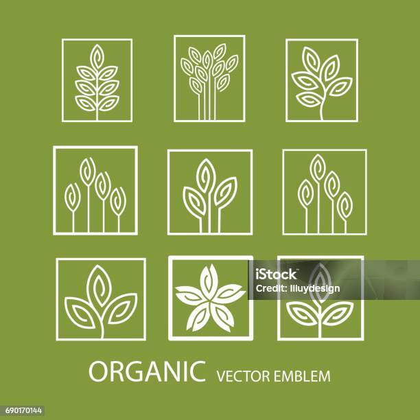 Vector Set Abstract Organic Emblem Outline Monogram Flower Symbol Stock Illustration - Download Image Now