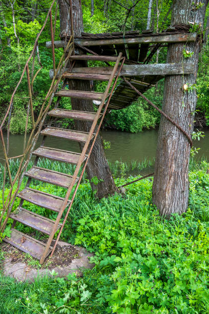 istock wooden suspension footbridge 690170296