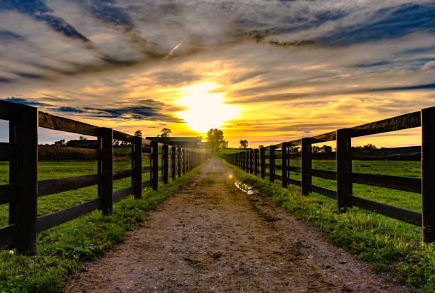 Dirt road  leading to a barn with sunset Dirt road leading to a barn in the distance with wooden rail fences on either side with a sunset in the background appalachia photos stock pictures, royalty-free photos & images