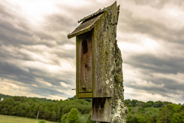 Weathered wooden birdhouse on a fence post with an overcast cloudy sky in the background