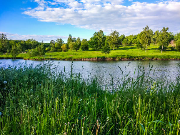 istock Background of nature and lake 690182046