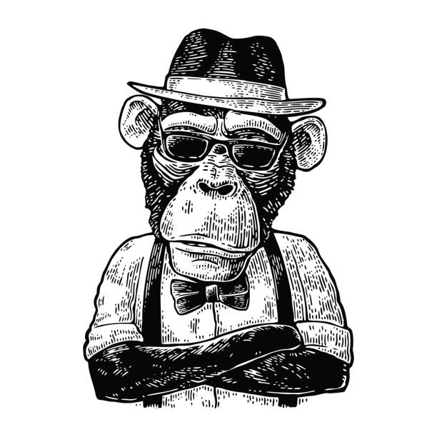 Monkey hipster with arms crossedin in hat, shirt, glasses and bow tie Monkey hipster with paws crossed in hat, shirt, sunglasses and bow tie. Vintage black engraving illustration for poster. Isolated on white background ape illustrations stock illustrations