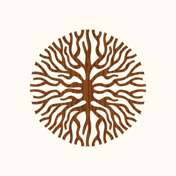 Circular Root Pattern 20,300+ Plant Roots Circle Stock Photos, Pictures & Royalty-Free Images ...