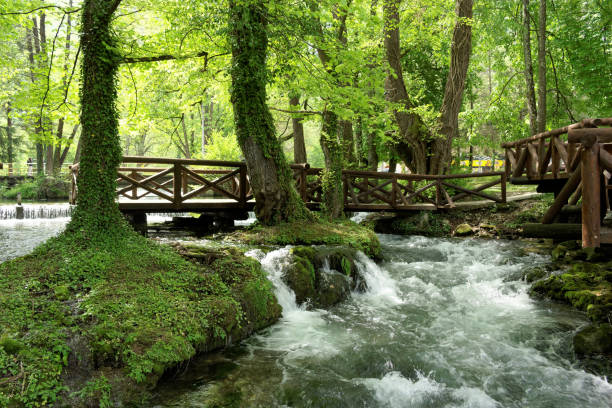 istock River Vrelo, right tributary of the river Drina 690191820