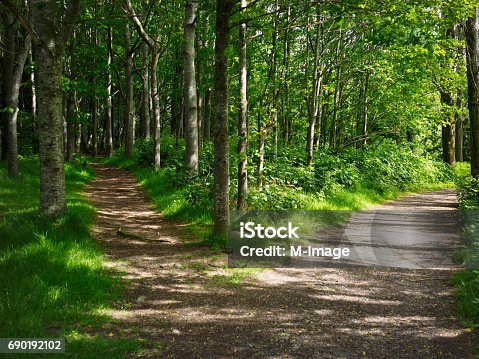 istock two road in forest 690192102