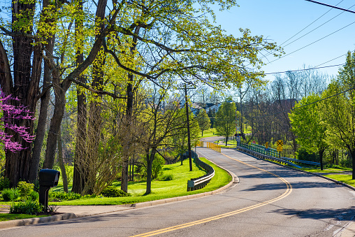 Picturesque road curving through residential areas in early spring sunlight