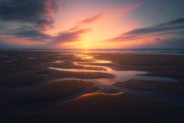 istock puddles in the beach shore 690195480