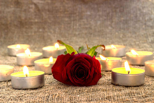 istock Red rose,petals with candle 690195648