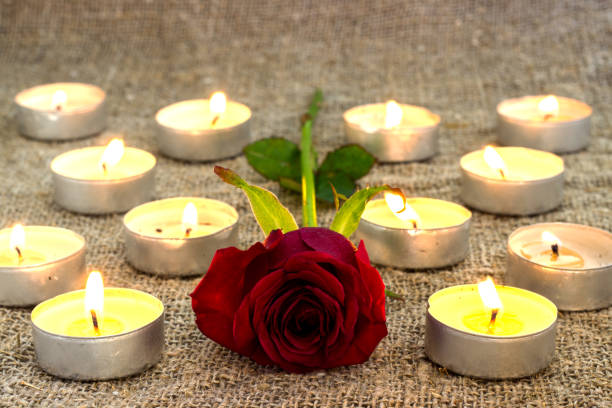 istock Red rose,petals with candle 690195728
