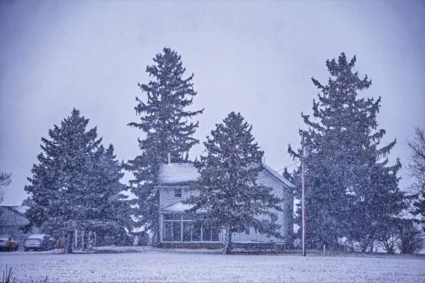 istock abstract winter scene on a country farm 690202174