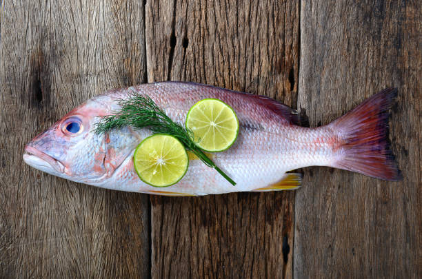 istock Red snapper fish from fishery market. 690202500