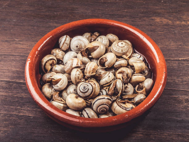 エスカルゴは、カタツムリを料理、素朴な提供してください。 - gourmet snail food escargot ストックフォトと画像