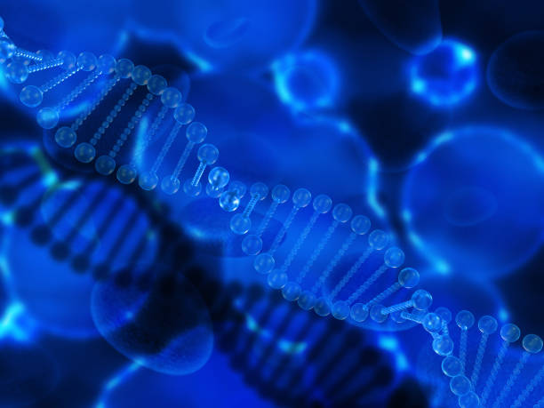istock 3D medical background with clear DNA strands 690205552