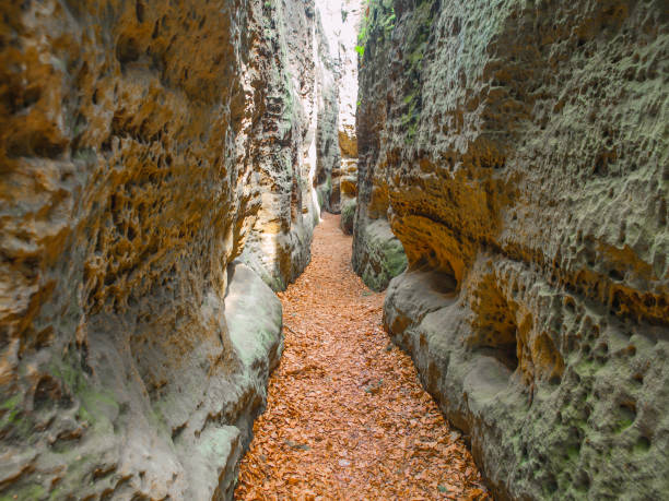 Narrow passage in sandstone gorge of Maze rock city in Krivoklatsko protected area, Czech Republic Narrow passage in sandstone gorge of Maze rock city in Krivoklatsko protected area, Czech Republic. narrow stock pictures, royalty-free photos & images