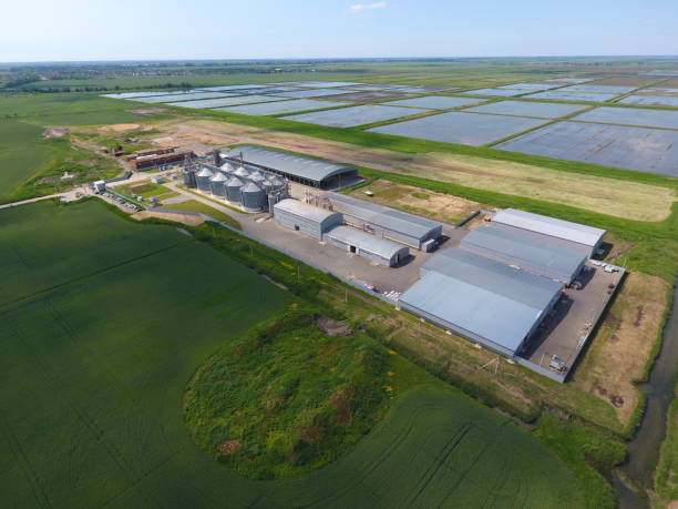 istock Plant for the drying and storage of grain. Top view. Grain terminal. 690215694