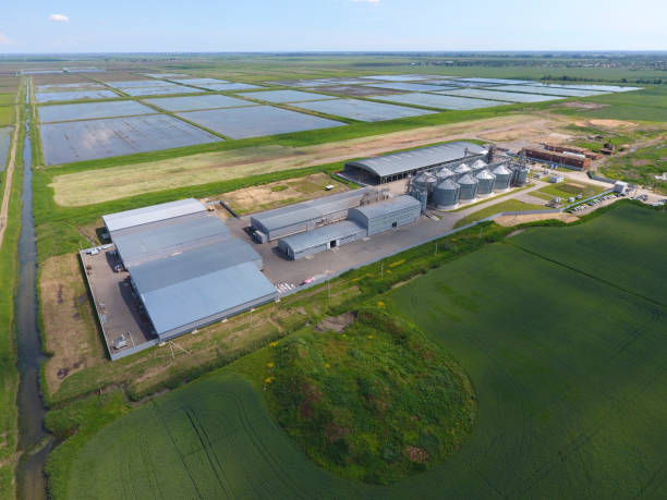istock Plant for the drying and storage of grain. Top view. Grain terminal. 690215704