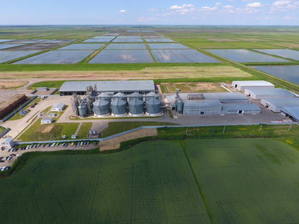 istock Plant for the drying and storage of grain. Top view. Grain terminal. 690215722