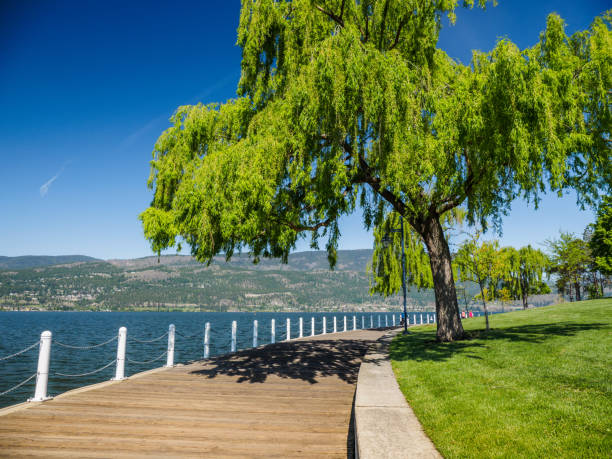 Promenade along the Okanagan Lake waterfront in Kelowna, BC stock photo