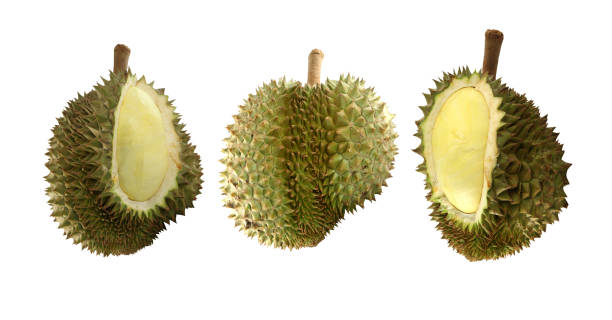 istock Durian fruit isolated on white background and have clipping paths. 690223474